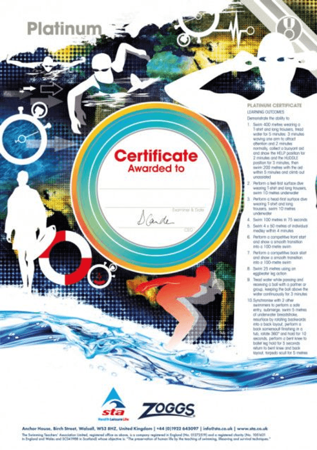 Platinum Award - Certificate with Badge