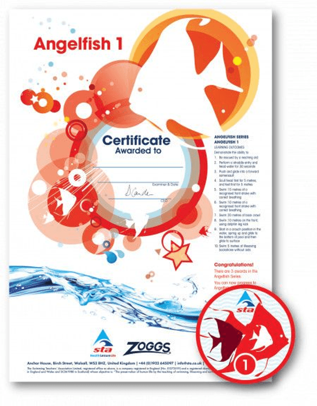Angelfish 1 - Certificate with Badge